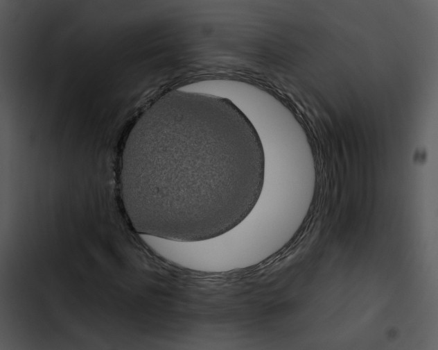 X0000102840916200809081216