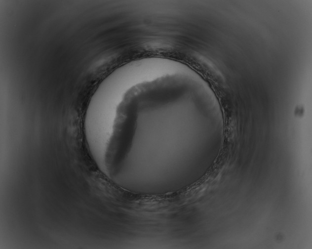 X0000102840917200809081216