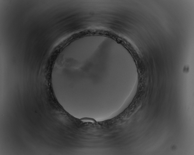 X0000102840919200809081216