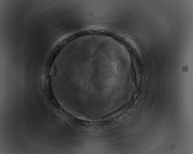 X0000102840920200809081216