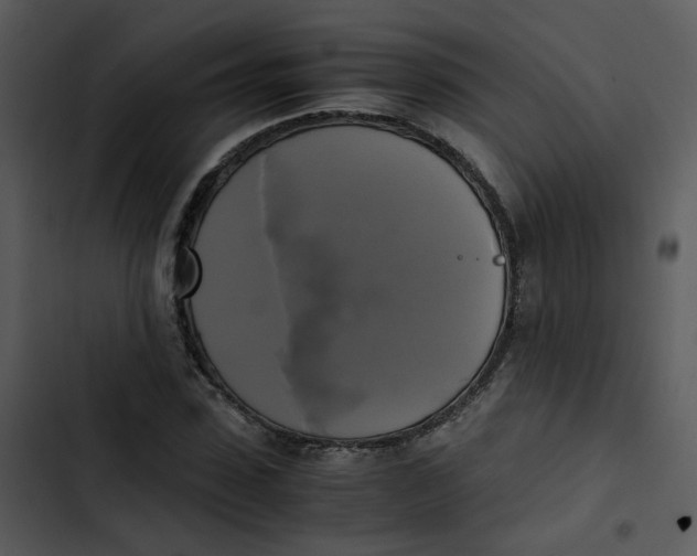 X0000102840923200809081216