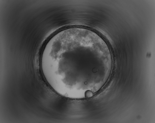 X0000102840925200809081216