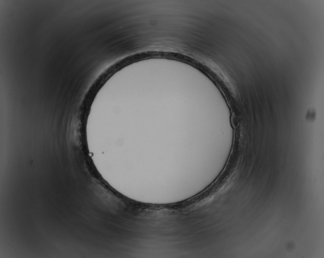 X0000102840926200809081216