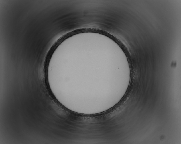 X0000102840927200809081216