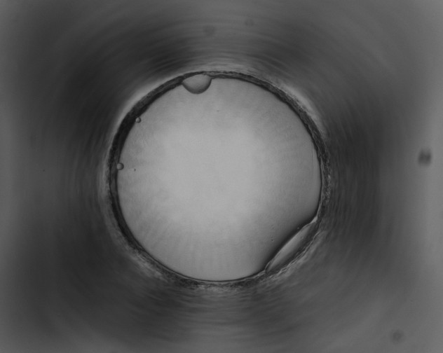 X0000102840928200809081216