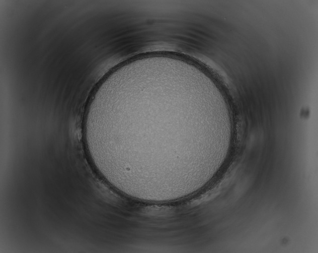 X0000102840929200809081216