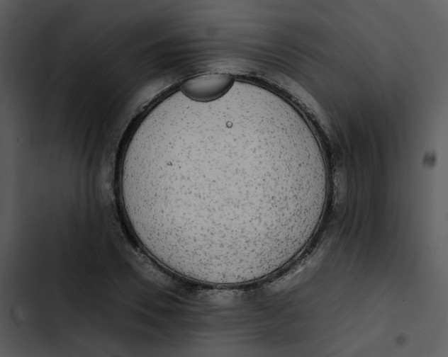 X0000102840930200809081216