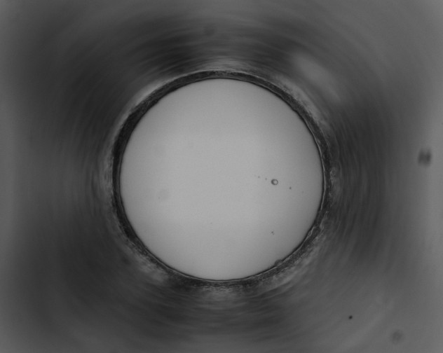 X0000102840931200809081216