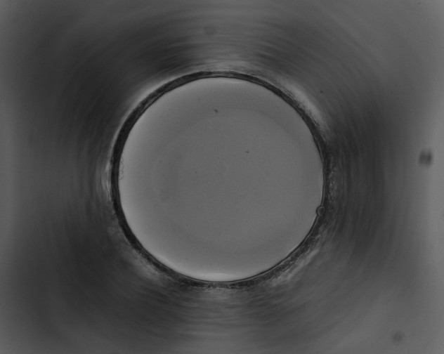 X0000102840932200809081216