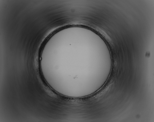 X0000102840934200809081216