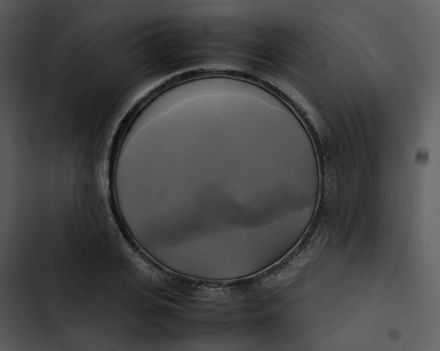 X0000102840935200809081216