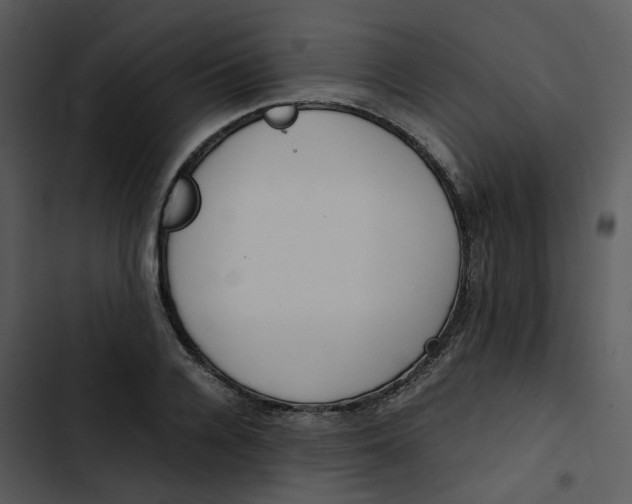 X0000102840936200809081216