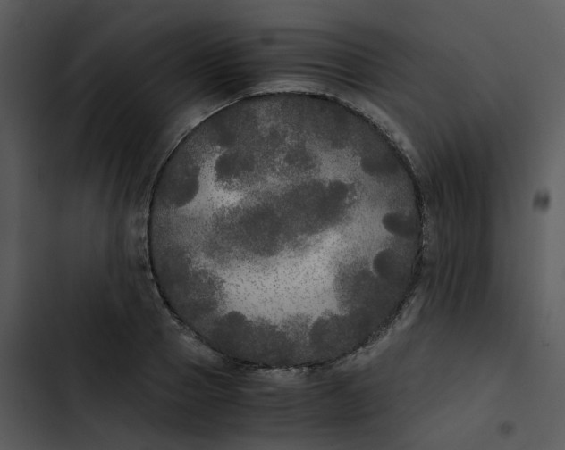 X0000102840937200809081216