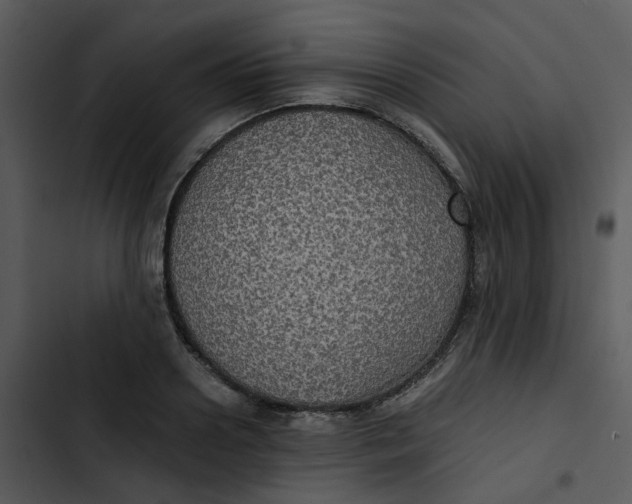 X0000102840938200809081216