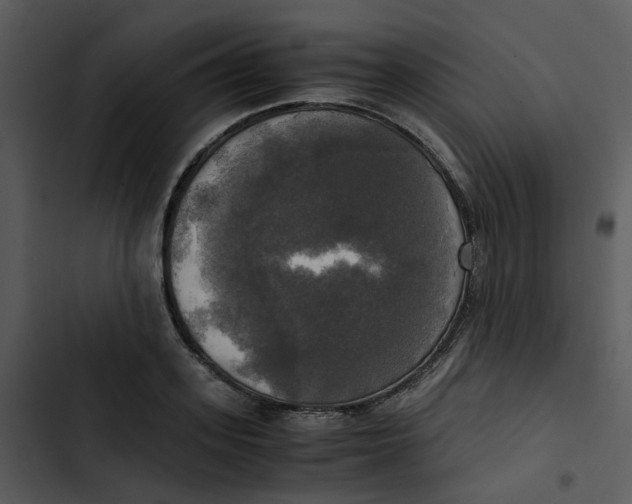 X0000102840939200809081216