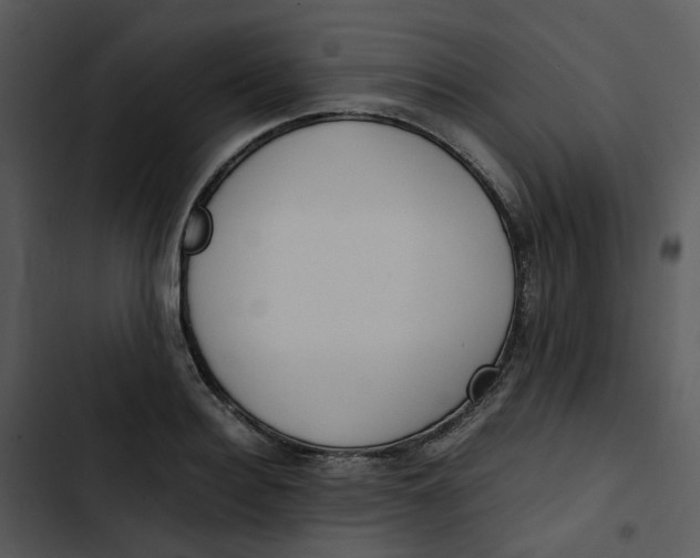 X0000102840940200809081216