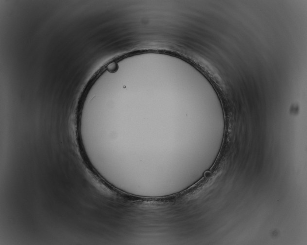 X0000102840942200809081216