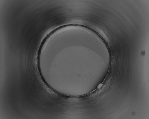 X0000102840944200809081216