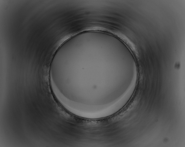 X0000102840945200809081216