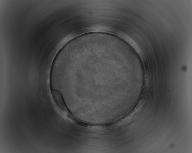 X0000102840946200809081216