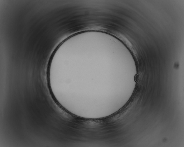 X0000102840947200809081216