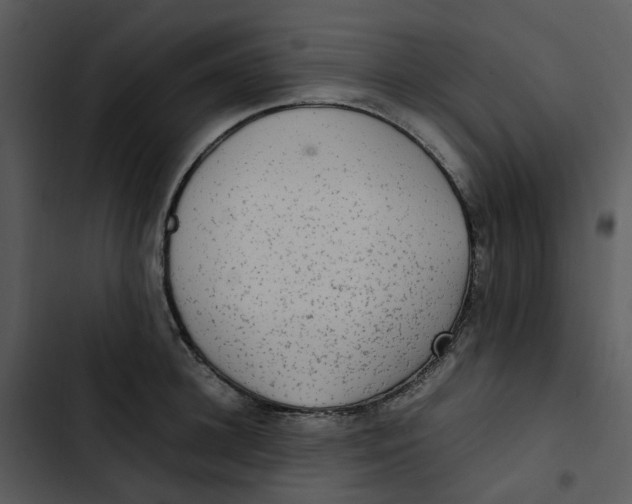 X0000102840948200809081216