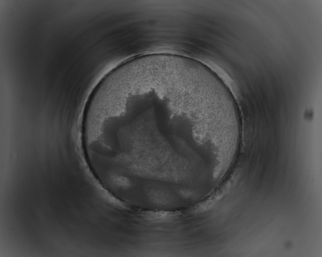 X0000102840949200809081217