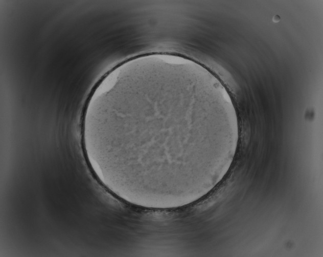 X0000102840950200809081217