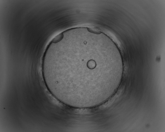 X0000102840952200809081217