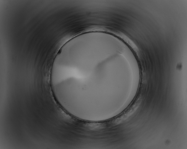 X0000102840953200809081217