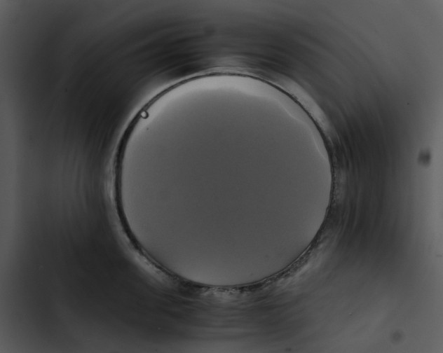 X0000102840955200809081217