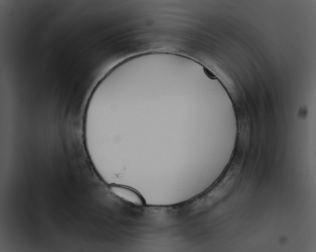 X0000102840956200809081217