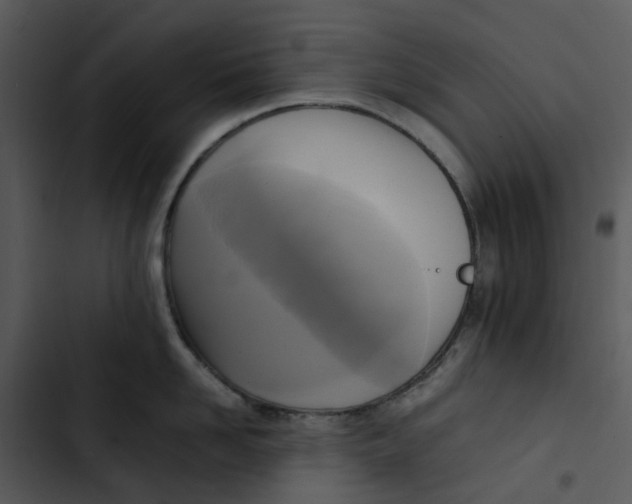 X0000102840958200809081217