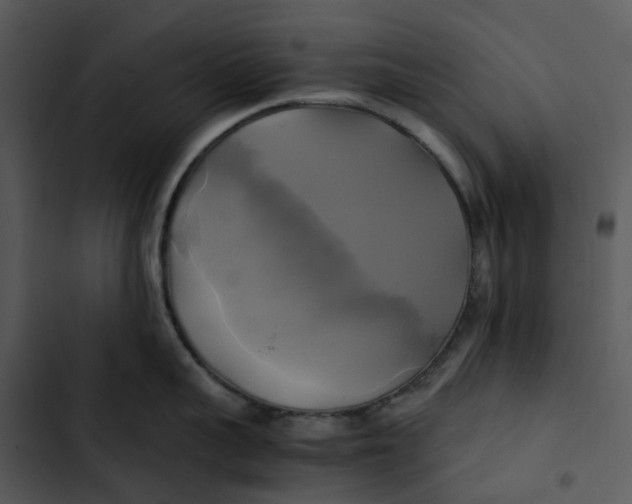 X0000102840959200809081217