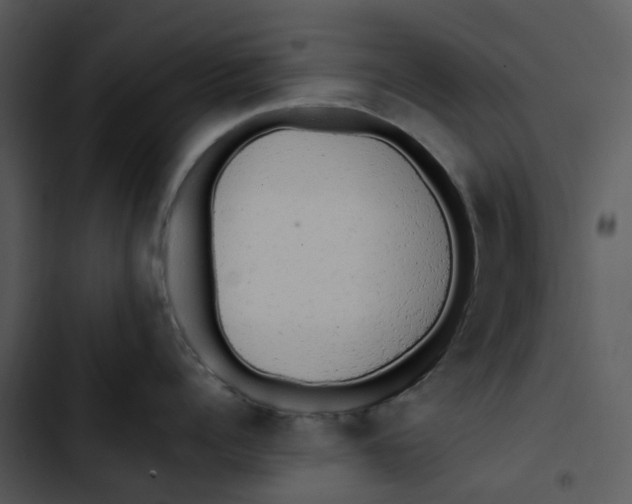 X0000102840960200809081217