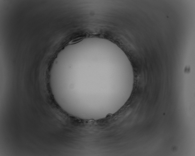 X0000102840961200809081216