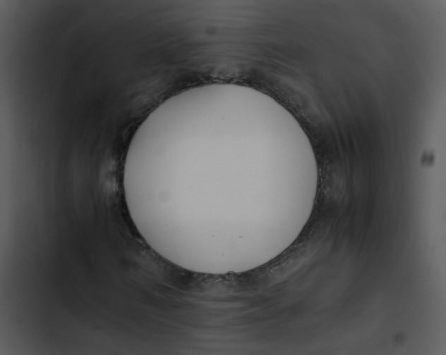 X0000102840962200809081216