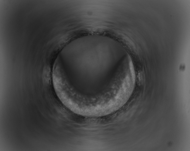 X0000102840963200809081216