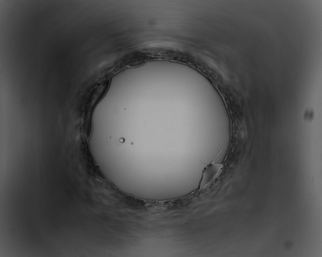 X0000102840965200809081216