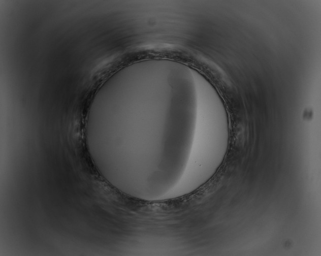 X0000102840966200809081216