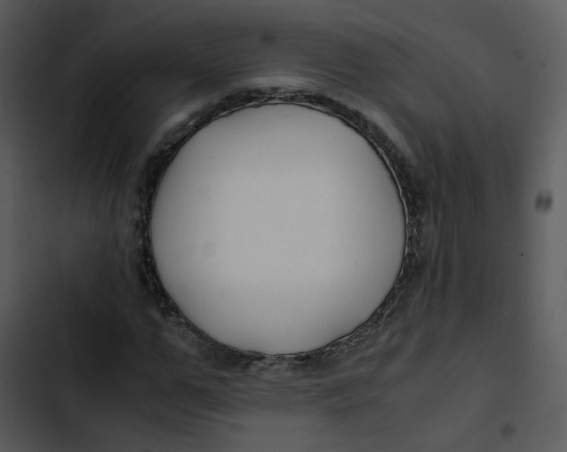 X0000102840967200809081216