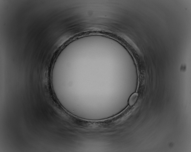 X0000102840969200809081216