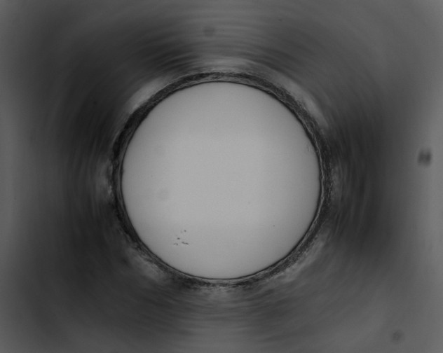 X0000102840970200809081216