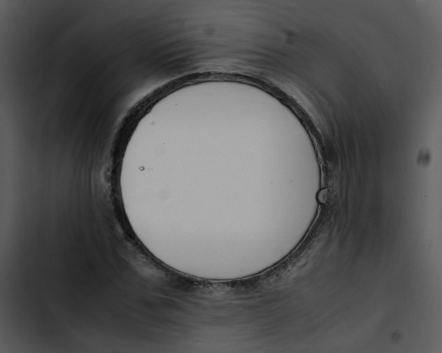 X0000102840971200809081216