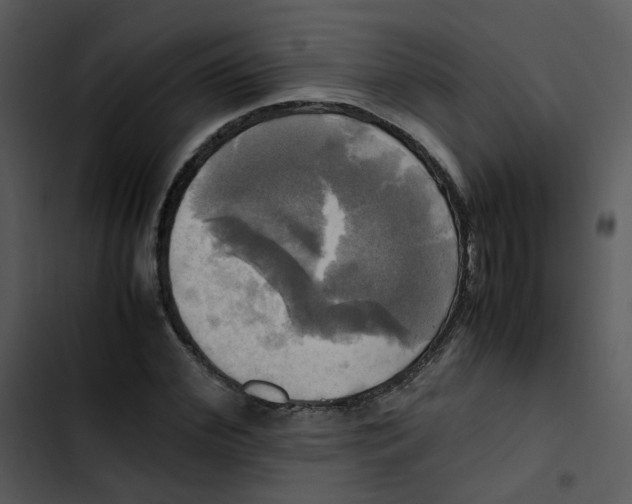 X0000102840972200809081216