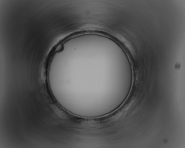 X0000102840973200809081216