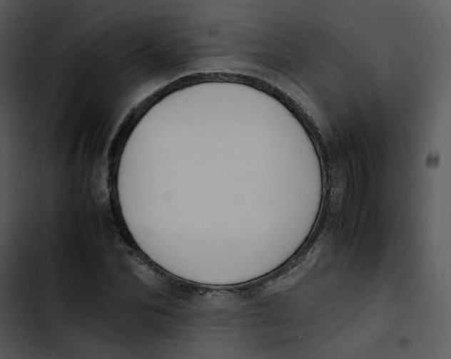 X0000102840974200809081216