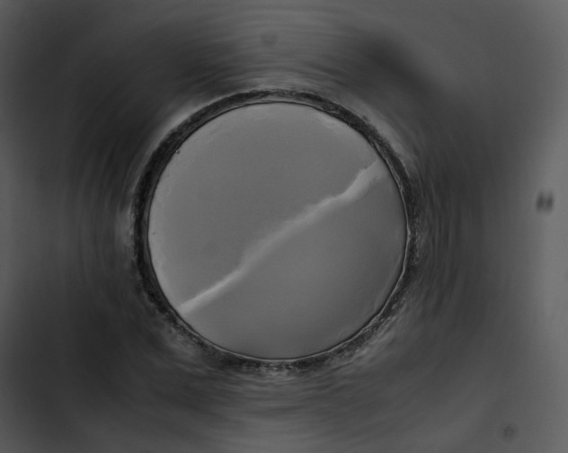 X0000102840975200809081216