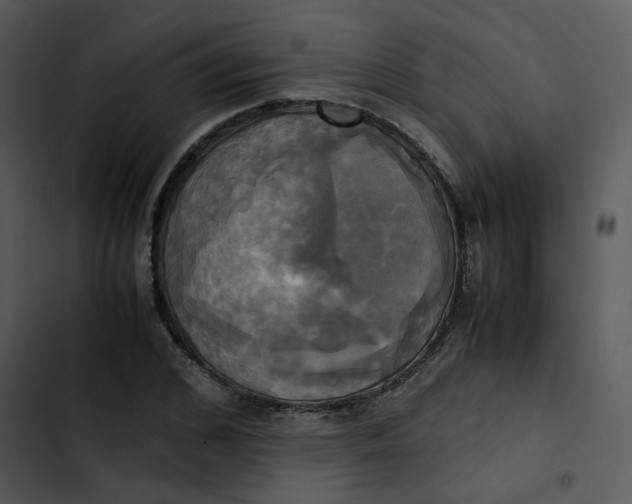 X0000102840976200809081216