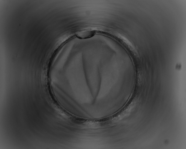 X0000102840977200809081216